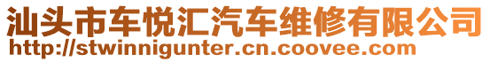 汕頭市車(chē)悅匯汽車(chē)維修有限公司