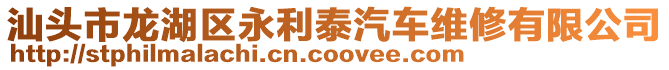 汕頭市龍湖區永利泰汽車維修有限公司