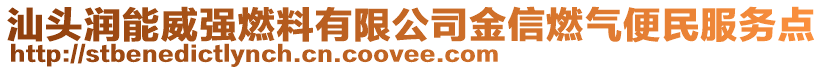 汕頭潤(rùn)能威強(qiáng)燃料有限公司金信燃?xì)獗忝穹?wù)點(diǎn)