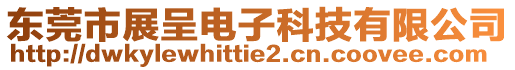 東莞市展呈電子科技有限公司