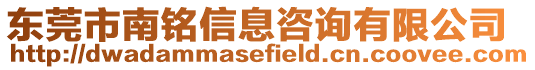 東莞市南銘信息咨詢有限公司