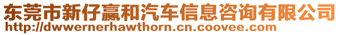 東莞市新仔贏和汽車信息咨詢有限公司