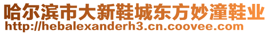 哈爾濱市大新鞋城東方妙潼鞋業