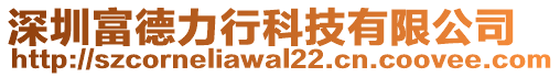 深圳富德力行科技有限公司