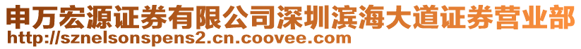 申萬宏源證券有限公司深圳濱海大道證券營業(yè)部