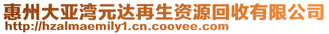 惠州大亞灣元達再生資源回收有限公司