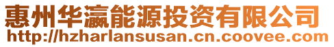 惠州華瀛能源投資有限公司