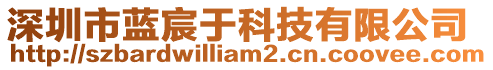 深圳市藍(lán)宸于科技有限公司