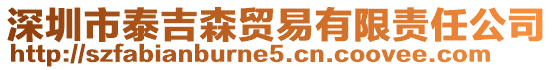 深圳市泰吉森貿(mào)易有限責(zé)任公司