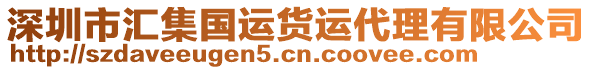 深圳市匯集國運(yùn)貨運(yùn)代理有限公司