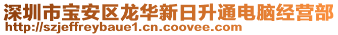 深圳市寶安區(qū)龍華新日升通電腦經(jīng)營部