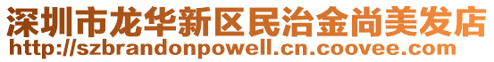 深圳市龍華新區(qū)民治金尚美發(fā)店