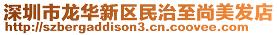 深圳市龍華新區(qū)民治至尚美發(fā)店