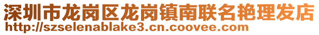 深圳市龍崗區(qū)龍崗鎮(zhèn)南聯(lián)名艷理發(fā)店