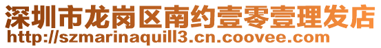 深圳市龍崗區(qū)南約壹零壹理發(fā)店