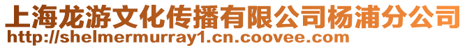 上海龍游文化傳播有限公司楊浦分公司