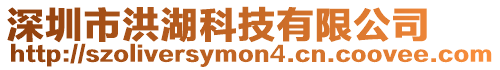 深圳市洪湖科技有限公司