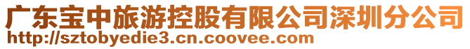 廣東寶中旅游控股有限公司深圳分公司