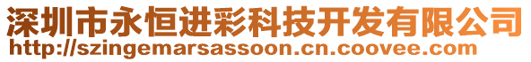 深圳市永恒進彩科技開發有限公司