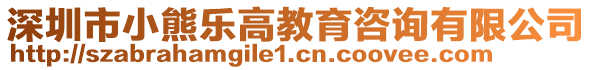 深圳市小熊樂高教育咨詢有限公司