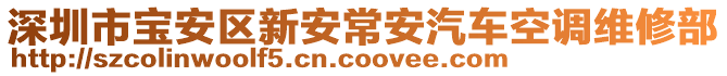 深圳市寶安區(qū)新安常安汽車空調(diào)維修部