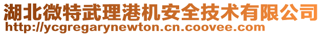 湖北微特武理港機安全技術有限公司