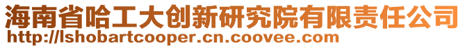 海南省哈工大創新研究院有限責任公司