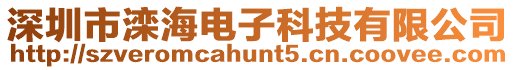 深圳市灤海電子科技有限公司
