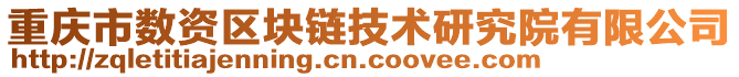重慶市數(shù)資區(qū)塊鏈技術(shù)研究院有限公司