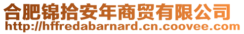 合肥錦拾安年商貿有限公司