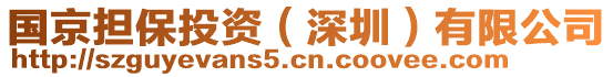 國(guó)京擔(dān)保投資（深圳）有限公司