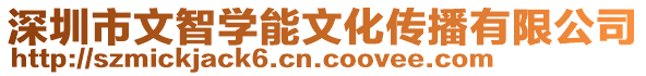 深圳市文智學能文化傳播有限公司