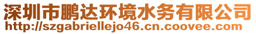 深圳市鵬達環(huán)境水務(wù)有限公司