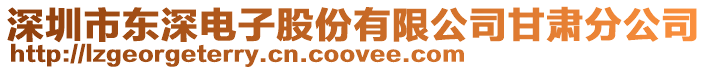 深圳市東深電子股份有限公司甘肅分公司