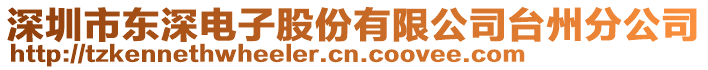 深圳市東深電子股份有限公司臺州分公司