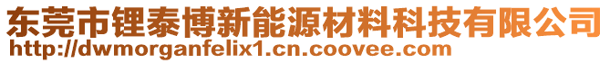 東莞市鋰泰博新能源材料科技有限公司