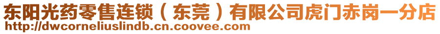 東陽光藥零售連鎖(東莞)有限公司虎門赤崗一分店