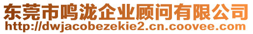 東莞市鳴瀧企業(yè)顧問(wèn)有限公司