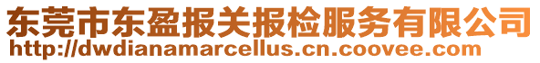 東莞市東盈報關報檢服務有限公司
