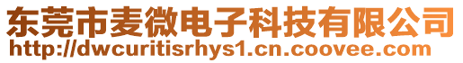 東莞市麥微電子科技有限公司