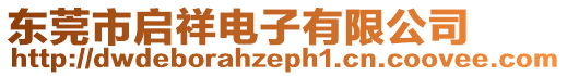 東莞市啟祥電子有限公司