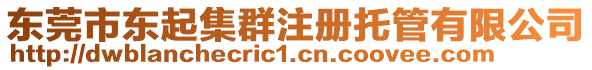 東莞市東起集群注冊托管有限公司