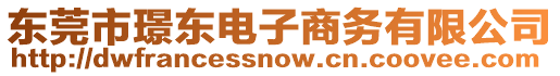 東莞市璟東電子商務(wù)有限公司