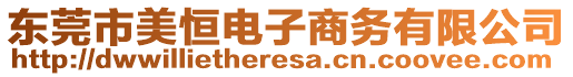 東莞市美恒電子商務(wù)有限公司