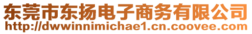 東莞市東揚電子商務(wù)有限公司