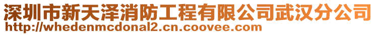 深圳市新天澤消防工程有限公司武漢分公司