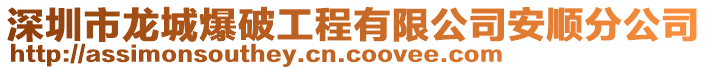 深圳市龍城爆破工程有限公司安順分公司