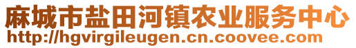 麻城市鹽田河鎮(zhèn)農(nóng)業(yè)服務(wù)中心