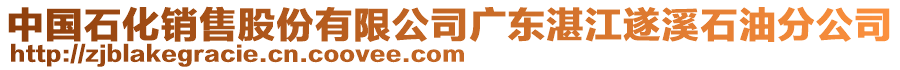 中國(guó)石化銷售股份有限公司廣東湛江遂溪石油分公司