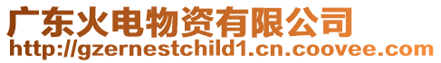 廣東火電物資有限公司